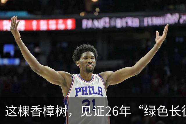 这棵香樟树，见证26年“绿色长征”